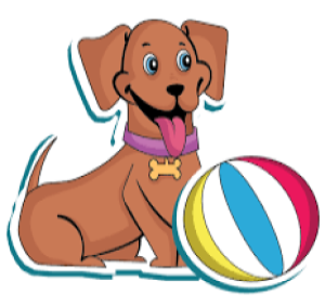 a summer doggy with beach ball